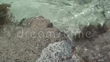 塞舌尔。 普拉斯林岛。 清澈的<strong>海水</strong>在岩石上<strong>翻滚</strong>。 小海蟹在石头上爬行.. 旅游、度假